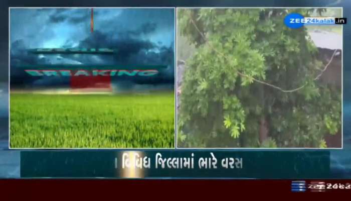 Gujarat Monsoon Updates 