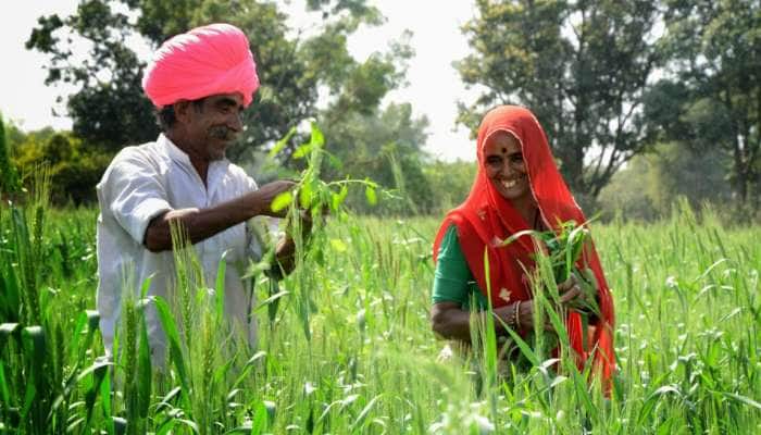 આનંદો! ગુજરાતના ખેડૂતો માટે કેન્દ્ર સરકારની વધુ એક ભેટ