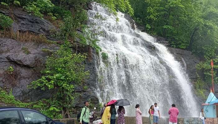 Weather News: સાપુતારામાં ધોધમાર વરસાદ, તોતિંગ વૃક્ષો ધરાશાયી, વીજ પુરવઠો ઠપ્પ