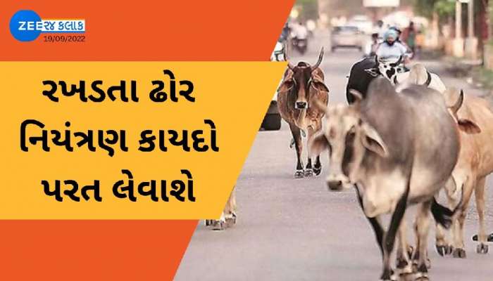 સરકારનો મોટો નિર્ણય, વિધાનસભા સત્રમાં રખડતાં ઢોર નિયંત્રણ કાયદો પરત લેવાશે