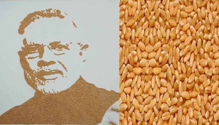 દુનિયાના સૌથી બેસ્ટ ઘઉંના દાણાંમાંથી બનાવાઈ PM મોદીની છબી, જેની શોધ ગુજરાતમાં થઈ હતી