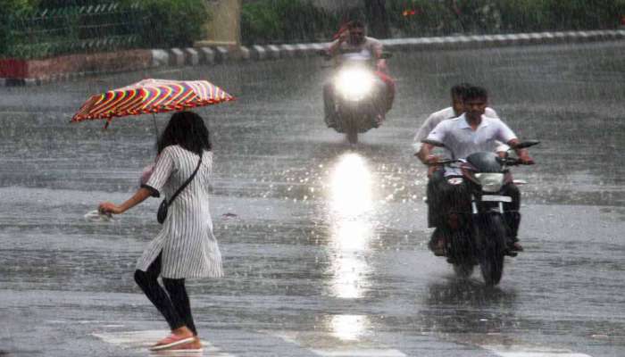 Gujarat Rain: ગુજરાતમાં ફરી વરસાદી મોહાલ, આ જિલ્લામાં પડ્યો ધોધમાર વરસાદ