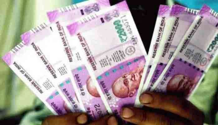 Business Idea: દેશ-વિદેશમાં આ ફળની છે જબરદસ્ત ડિમાન્ડ, તેની ખેતી કરવાથી થશે અઢળક કમાણી