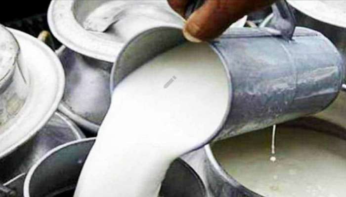 ગુજરાતના લાખો પશુપાલકોની દિવાળી સુધરી, આ ડેરીએ દૂધની ખરીદીમાં કર્યો ભાવ વધારો