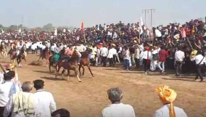  ભાઈબીજની અનોખી ઉજવણી, ગુજરાતમાં અહીં 753 વર્ષથી થાય છે અશ્વદોડનું આયોજન