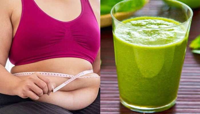 Weight Loss Juice: વજન ઘટાડવા માટે ખુબ અસરકારક છે આ પાંદડાનું જ્યૂસ