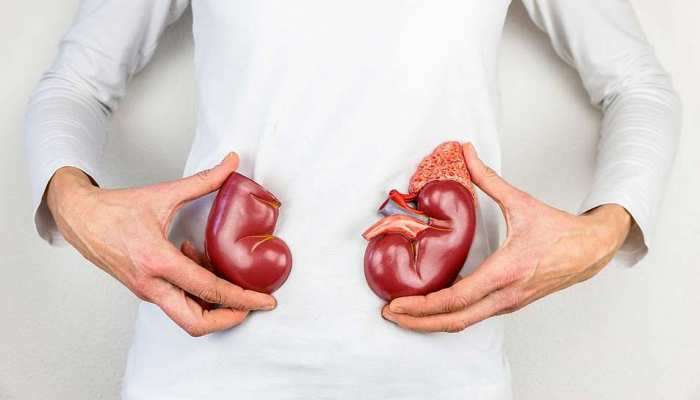 Kidney માટે ઝેર સમાન છે આ પાંચ વસ્તુ, ડાઇટમાંથી કરો બહાર