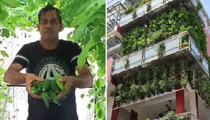 Organic Farming: ગજબ ભેજું...આ વ્યક્તિ ઘરના ધાબે ખેતી કરીને દર વર્ષે કમાય છે 70 લાખ રૂપિયા 