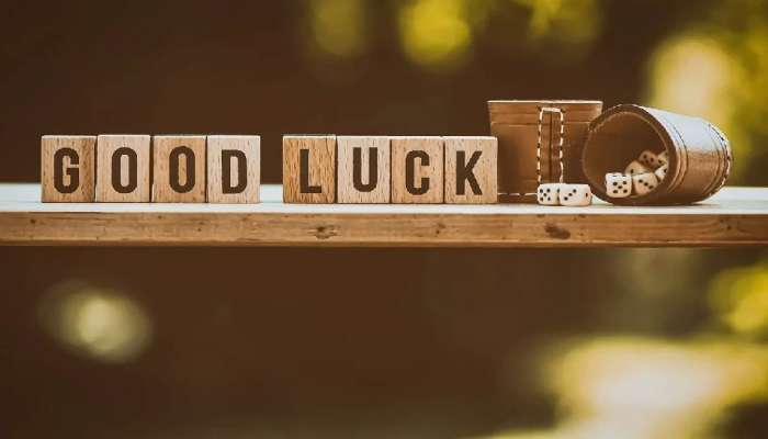 Good Luck Signs: ઘરની બાલ્કની-આંગણામાં દેખાય આ પક્ષી તો ખુલી જાય છે નસીબ, શરૂ થાય છે સોનેરી દિવસો