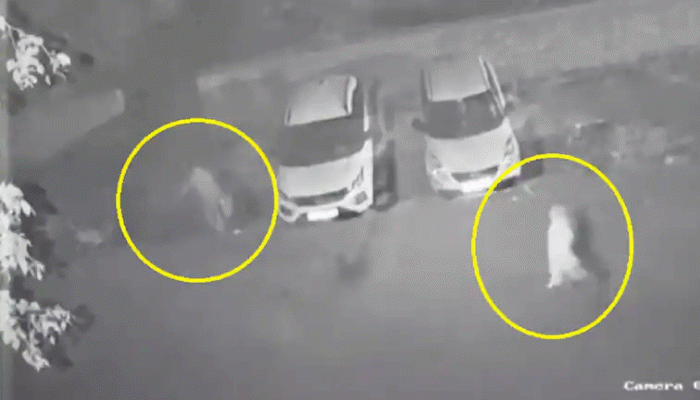 Pandav Nagar Murder Case: શ્રદ્ધા જેવો વધુ એક કેસ, પત્ની-પુત્રએ આધેડની હત્યા કરી લાશના ટુકડાં ટુકડાં કરી ફેંકી દીધા, હચમચાવી નાખતો કિસ્સો
