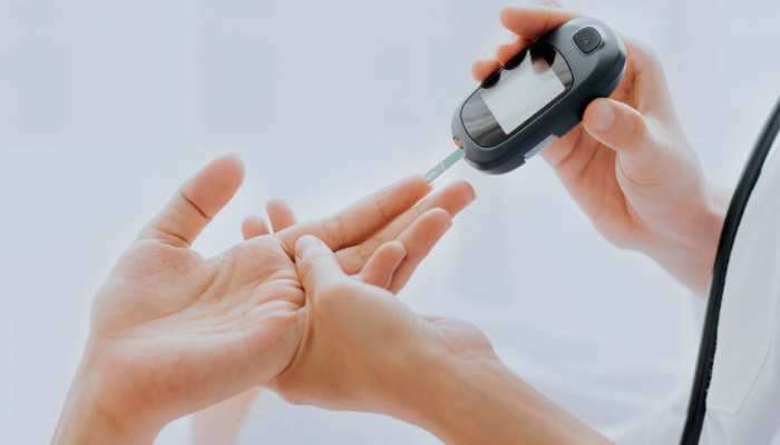 Diabetes: ડાયાબિટીસ છે? તો ડાયટમાં સામેલ કરો આ વસ્તુઓ, કંટ્રોલમાં રહેશે બ્લડ શુગર