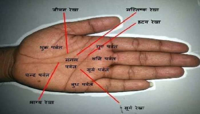 Palmistry: હાથમાં આવી રેખા હોય તો જીવનમાં એકવાર જરૂર અમીર બને છે જાતક! લાગી જાય છે લોટરી