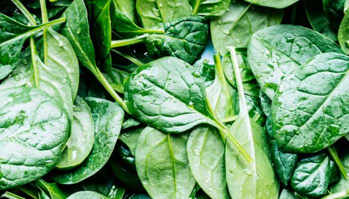 Spinach Benefits: ભાજી તબિયત રાખશે તાજી-માજી, જાણો આ આશ્ચર્યજનક ફાયદાઓ