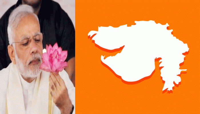 Gujarat Cabinet: મંત્રી મંડળમાં કોને મળશે મોકો? શું ભાજપને ગાળો આપનાર હાર્દિક અને અલ્પેશ બનશે મંત્રી?