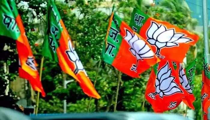 'પાટીલના પ્રયાસોને કારણે ગુજરાતમાં ઐતિહાસિક વિજય મળ્યો', જાણો ભાજપના કયા દિગ્ગજ નેતાએ આપ્યું નિવેદન?