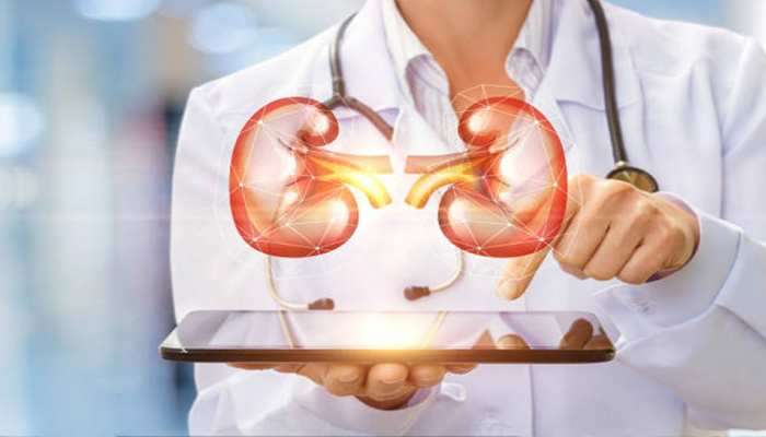 Kidney:વૃદ્ધાવસ્થા સુધી કિડનીને સ્વસ્થ રાખવી છે? તો આજે જ અપનાવો આ 5 સારી આદતો