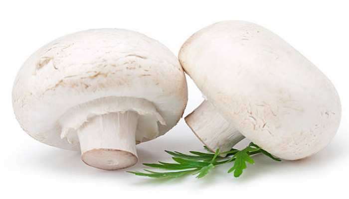 Mushroom benefits: બોડી માટે ફાયદાકારક છે મશરૂમ, આ પાંચ સમસ્યા હંમેશા રહેશે દૂર