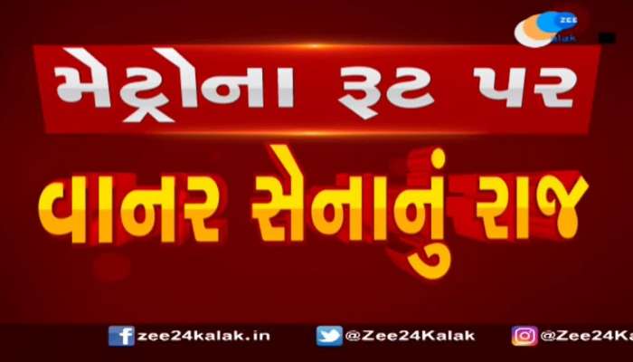 વાનરોને કારણે અમદાવાદની મેટ્રો ટ્રેનની રફતારને લાગી બ્રેક! જુઓ વીડિયો 