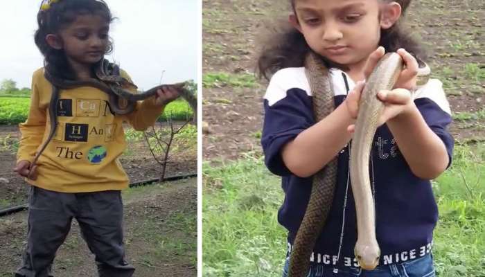 ગોંડલની Snake Girl : 8 વર્ષની ટેણી સાપ પકડવામાં માહેર, ડર્યા વગર ગળામાં વીંટાળે છે