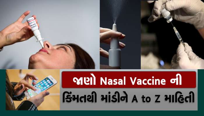 Nasal Vaccine Price:  ભારત બાયોટેકની નેજલ વેક્સિનની કિંમતો થઈ ફાઈનલ, જાણી લો કેટલા રૂપિયામાં અને ક્યારે મળશે?