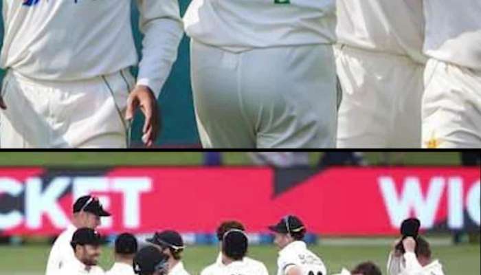 PAK Vs NZ Test: ચાલુ મેચમાં પાકિસ્તાનની ટીમે કેપ્ટન બદલ્યો, બાબરની જગ્યાએ આ પ્લેયરને સોંપી જવાબદારી