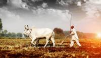 Good News For Farmers: ખેડૂતો માટે ખુશખબર! બેંક ખાતામાં જમા થશે તગડી રકમ!