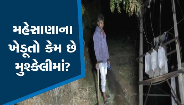 મહેસાણાના ખેડૂતો કેમ છે મુશ્કેલીમાં, ઠંડીમાં રાતે ખેતરે કેવી રીતે જઈશું એ સવાલ ઉઠ્યો 