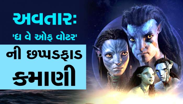 Avatar 2 Box Office Collection: અવતાર-2ની કમાણીની આંધીમાં બોલિવૂડની ફિલ્મો ફસકી, કમાણીના આંક સાંભળીને હોશ ઉડી જશે
