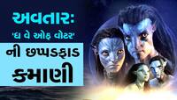 Avatar 2 ની કમાણીની આંધીમાં બોલિવૂડની ફિલ્મો ફસકી, કમાણીના આંક સાંભળીને હોશ ઉડી જશે