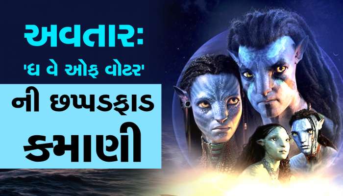 Avatar 2 ની કમાણીની આંધીમાં બોલિવૂડની ફિલ્મો ફસકી, કમાણીના આંક સાંભળીને હોશ ઉડી જશે