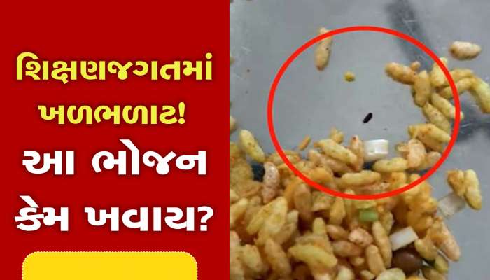 છીં...વિધાર્થિનીઓને જીવાતવાળું ભોજન પીરસાયું,ગ્લોબલ આયુર્વેદિક કોલેજનો ભાંડો ફૂટ્યો!