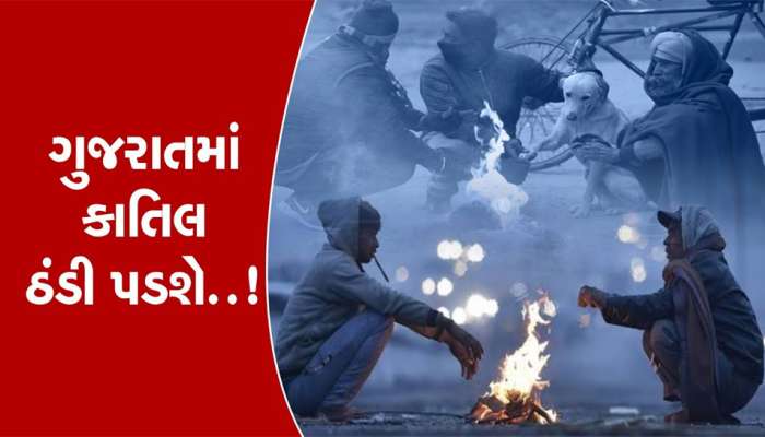 Gujarat Weather : હવેના બે દિવસ સાચવજો, ગુજરાતમાં લાગશે કાશ્મીર જેવી ઠંડી