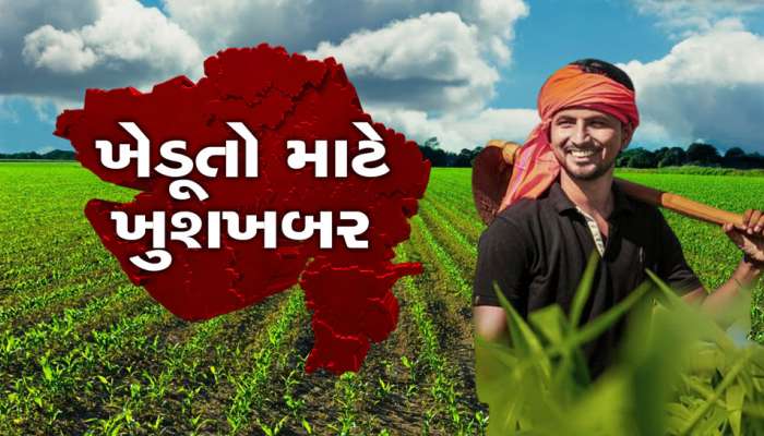 ગુજરાતના ખેડૂતોને નવુ વર્ષ ફળ્યું, શિયાળામાં દિવસે વીજળી આપવા અંગે થઈ મહત્વની જાહેરાત