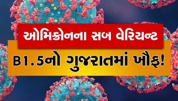 ગુજરાતમાં ઓમિક્રોન વેરિયન્ટનાં સબ વેરિયન્ટ B1.5નો વધુ 1 કેસ, આ મહિલાને લાગ્યો ચેપ