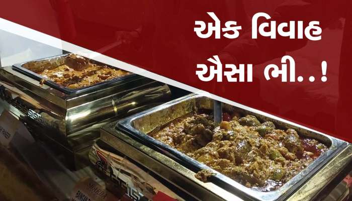 એક વિવાહ ઐસા ભી!લગ્નમાં પીરસાયા પ્રાકૃતિક ખેત પેદાશોથી બનેલા વ્યંજનો,આપ્યો મોટોસંદેશ