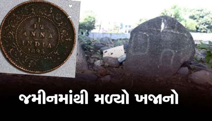 નવસારીના ધના રૂપા થાનક પાસે મળ્યો 18 મી સદીનો ખજાનો, જૂના પીપળા નીચે દટાયેલો હતો