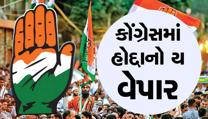 ગુજરાતમાં પ્રદેશ મહામંત્રીનો વિવાદ દિલ્હી સુધી પહોચ્યો : મામકાઓને પદોની લ્હાણી કરાઈ