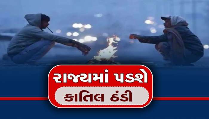 રાજ્યમાં પડશે હાડ થીજાવતી ઠંડી, અંબાલાલ પટેલ અને હવામાન વિભાગે કરી ભયંકર આગાહી