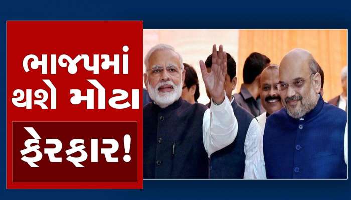 BJP National Executive Meeting: દિલ્હીમાં BJP ની બે દિવસની રાષ્ટ્રીય કારોબારી, બેઠક બાદ ભાજપમાં થઈ શકે છે આ ધરખમ ફેરફાર