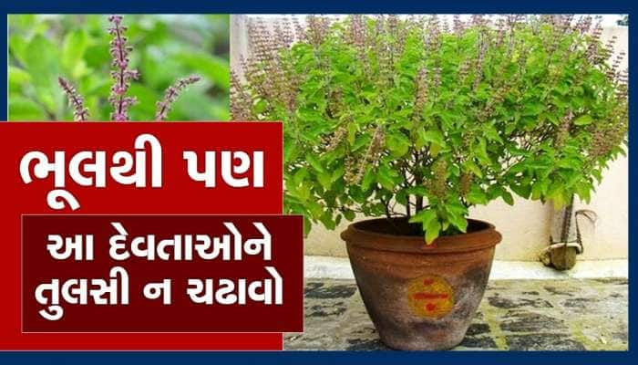 Tulsi Plant: ભૂલથી પણ આ ભગવાનને તુલસીના પાન ચડાવ્યા તો થશે અનર્થ