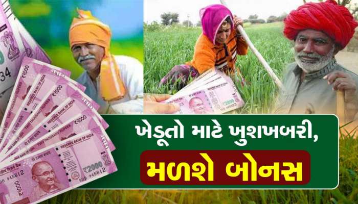 Pm Kisan:ખેડૂતોની નવા વર્ષની ભેટ, સરકાર આપશે 30 હજા રૂપિયા, બસ આટલી છે શરત