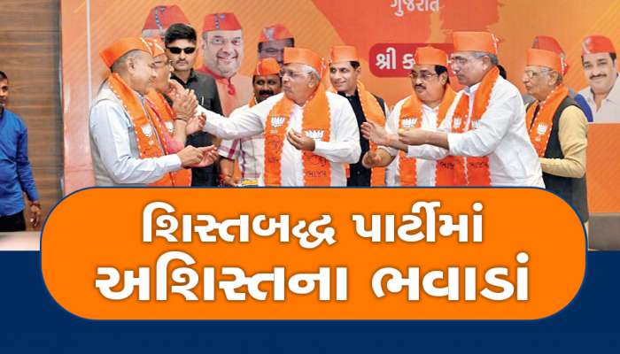 રાજકારણ! 1, 2 નહીં પણ મળી 600 ફરિયાદો: પક્ષ વિરોધી પ્રવૃત્તિઓ કરનાર હવે ભરાશે