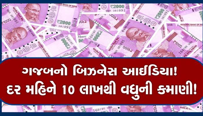 Business Idea: ઓછા ખર્ચે પોતાનો ધંધો! આ બિઝનેસથી દર મહિને કરો 10 લાખ રૂપિયા સુધીની કમાણી