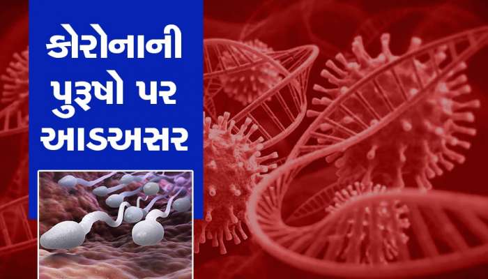 AIIMS નો ચોંકાવનારો અભ્યાસ, કોરોના વાયરસથી પુરૂષોના સીમેન પર પડી ખરાબ અસર