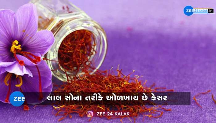 પહાડી વિસ્તારના આ ફૂલમાંથી બને છે લાલ સોનું, 1 કિલોનો ભાવ છે 3 લાખ રૂપિયા..!!!