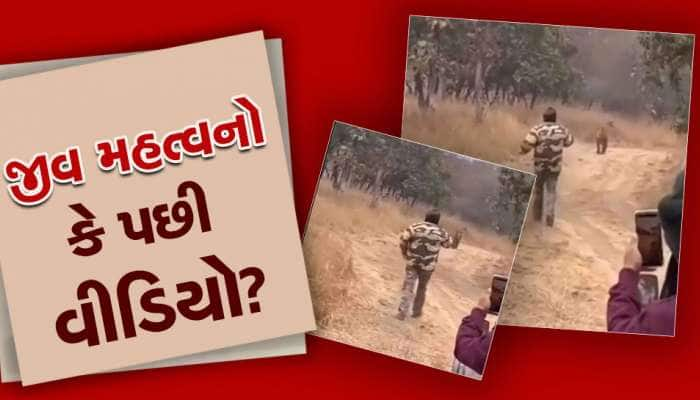 Viral Video: વીડિયો બનાવવા વાઘરૂપી ખતરા સાથે ખેલ્યા આ ભાઈ...પછી જુઓ શું થયું..