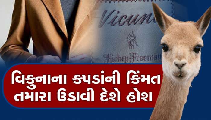 4 લાખનો શર્ટ, 80 હજારના મોજા, કોટ ખરીદવા માટે તો આખા વર્ષનો પગાર નીકળી જાય