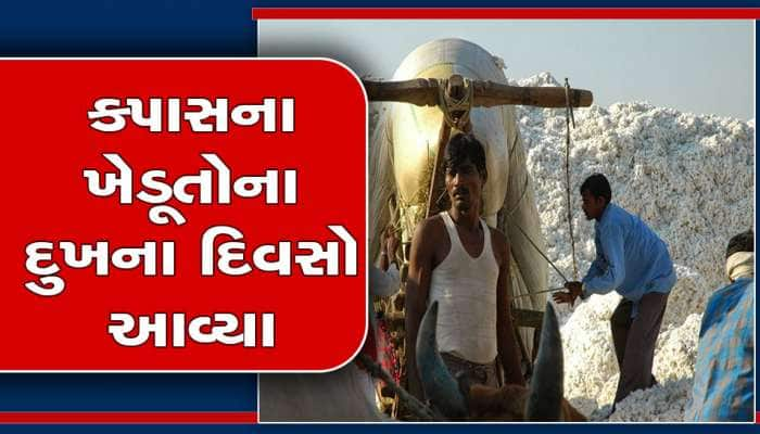 ગુજરાતના કપાસના ખેડૂતોની કરો યા મરો સ્થિતિ, 60 ટકા જીનને તાળા લાગ્યા  