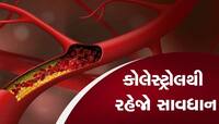 Cholesterol: યુવાનો પણ હાઈ કોલેસ્ટ્રોલથી રહેજો સાવધાન, આ લક્ષણોથી રહેજો સાવચેત