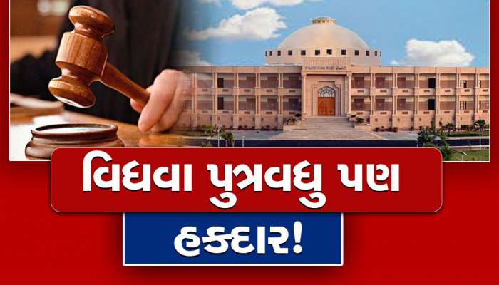 HC નો ચુકાદો, વિધવા દીકરીની જેમ વિધવા પુત્રવધુ પણ સરકારી નોકરીમાં અનુકંપાને લાયક